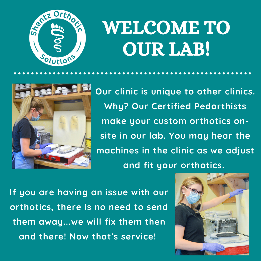 Welcome to our lab!